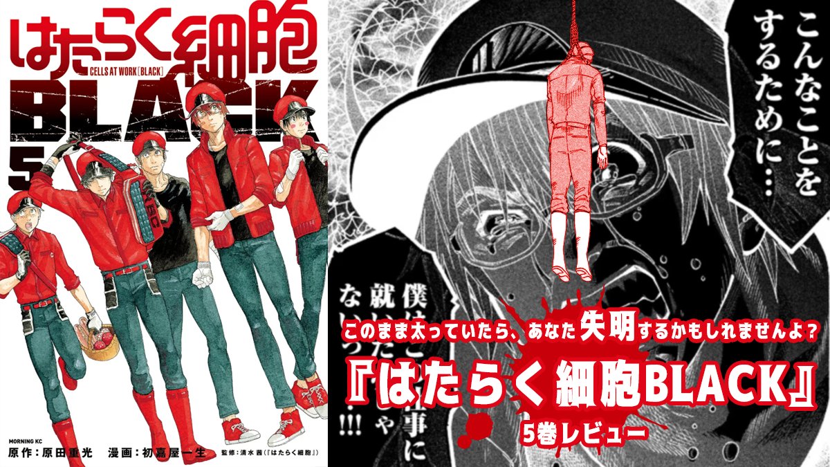 出典:pbs.twimg.com
