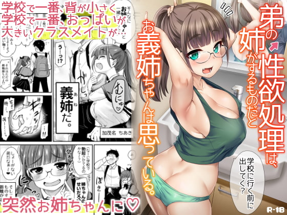 【義姉レビュー】チビで巨乳で悦んで性処理してくれるお義姉ちゃん！