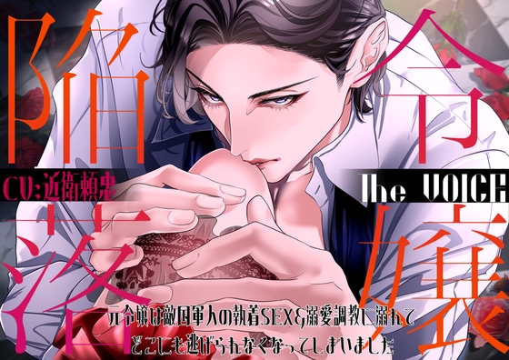 TL小説100冊くらい読んだので個人的トップ5をご紹介！