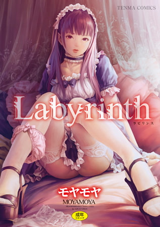 Labyrinth【DLsite限定特典付き】を読んだ感想