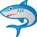 CHICKEN SHARK