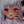 3D好き