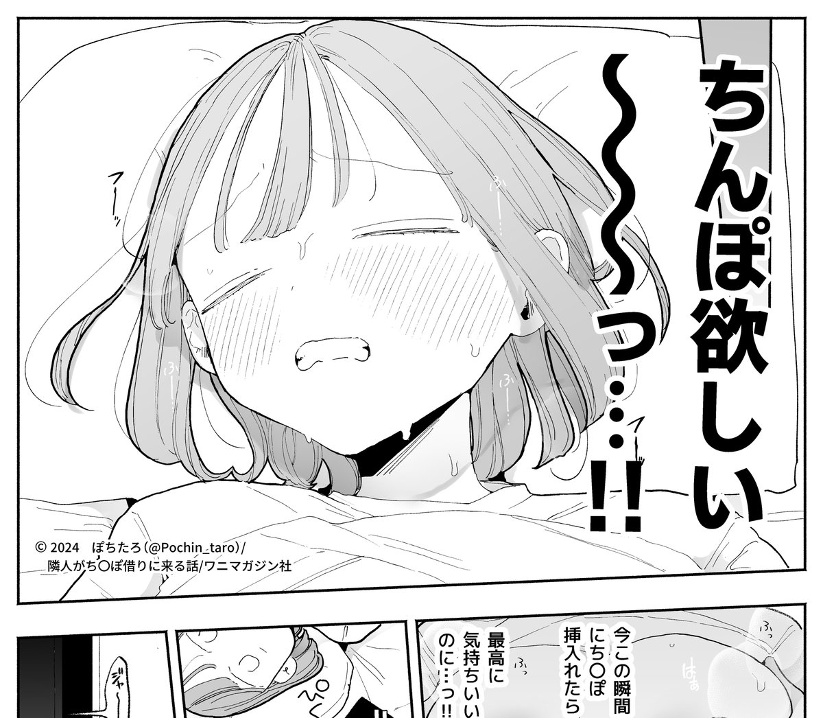 ちんぽ欲しい～～～っ！！ぽちたろ先生の漫画がエロカワすぎたのでおすすめ作品紹介してみた！