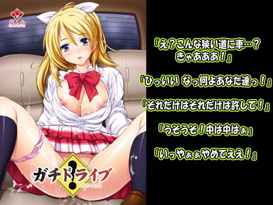 作品レビュー【ガチドライブ】