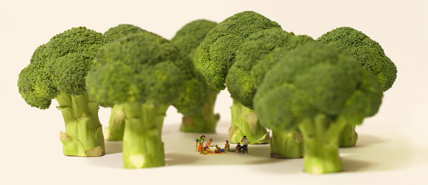 MINIATURE CALENDARの田中達也は、いつからダジャレを言うようになったのか？