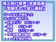 成人向け音声素材(学園ものっぽい素材/生徒会長)