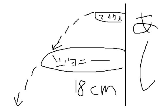 出典:karimifighting.com