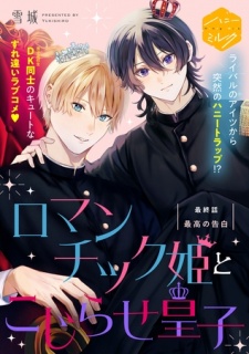 ロマンチック姫とこじらせ皇子　分冊版（４）