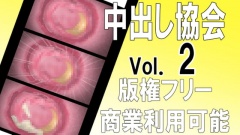 【版権フリー】中出し射精断面図ザーメン精子エロアニメ素材セット vol.2【商業利用可能】