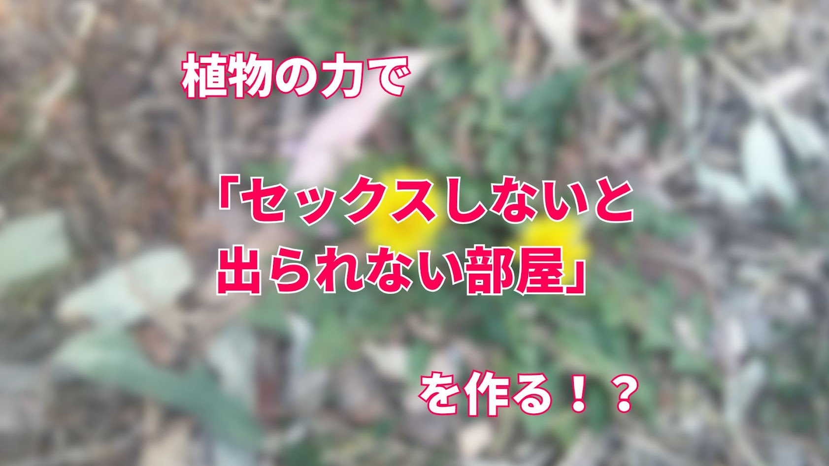 植物の力で「セックスしないと出られない部屋」を作る！？