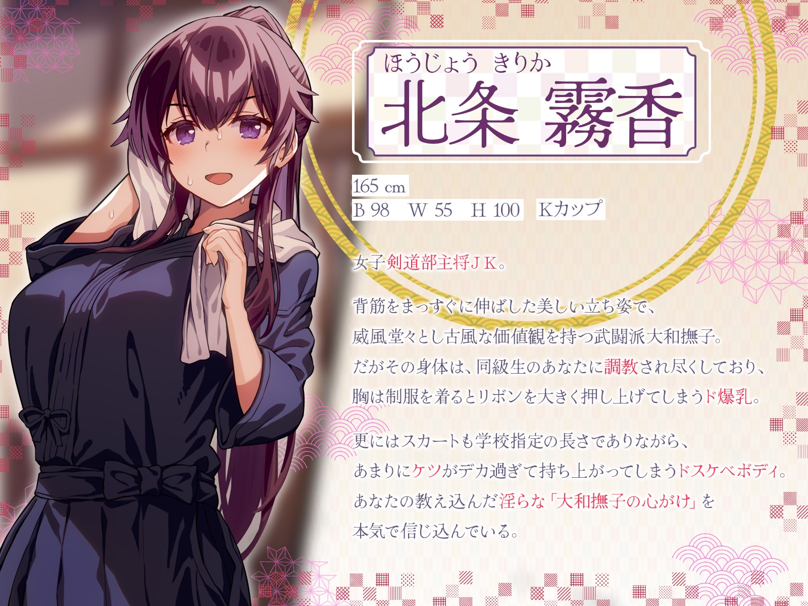 淫乱変態な妻B　エロブログ 新作レビュー】ド変態マゾの学生妻のどちゅどちゅ媚び媚びド変態セックス - DLチャンネル みんなで作る二次元情報サイト！