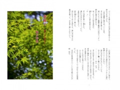 楽園で後ろから前から / 織末彬義