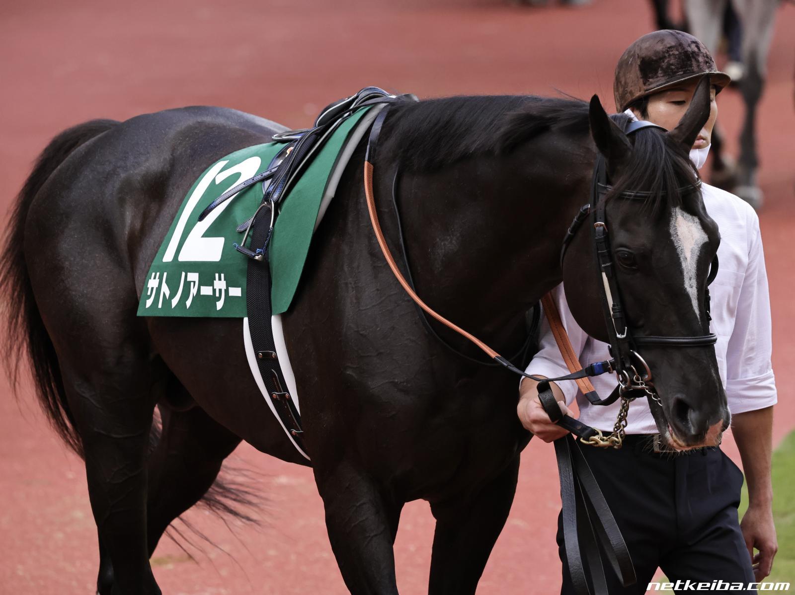 推し馬のおかげで色々踏みとどまったお話