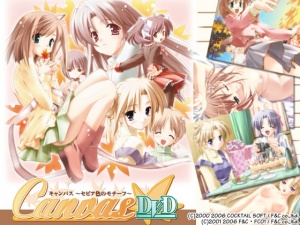 CanvasDVD～セピア色のモチーフ～