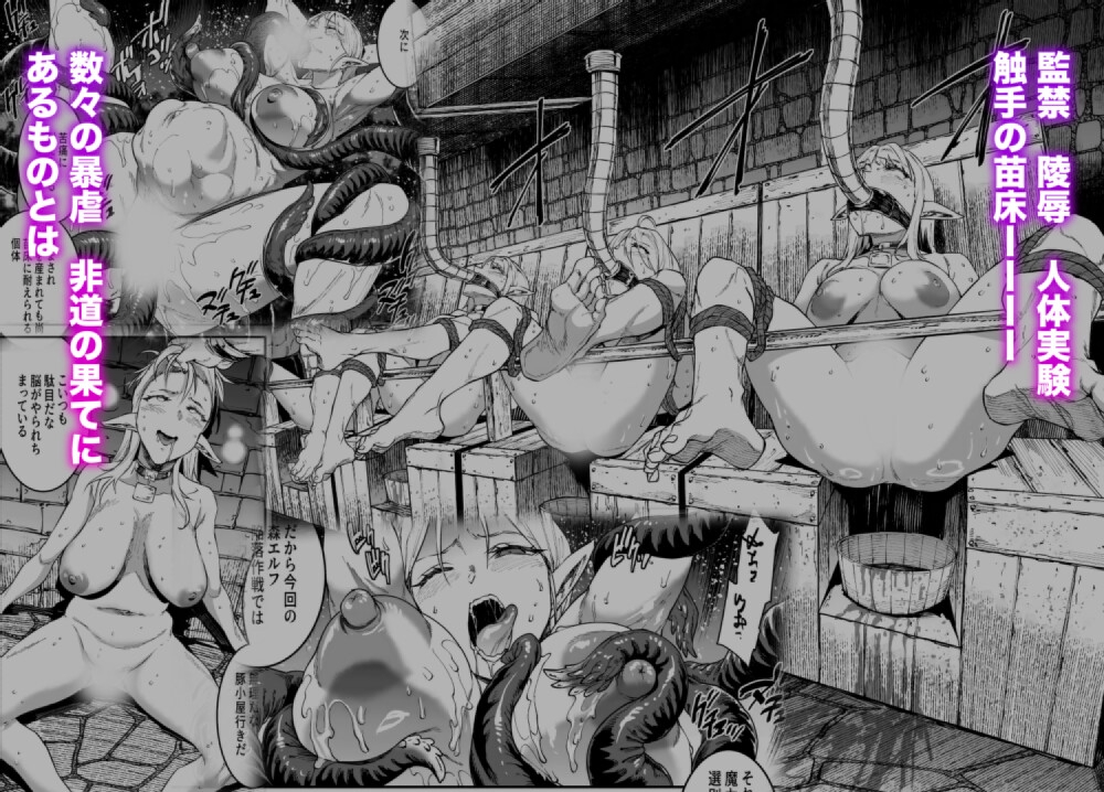 【人気スカトロ作品ランキング25年08月第4週】24，25年発売のスカトロ作品ランキング上位20作品