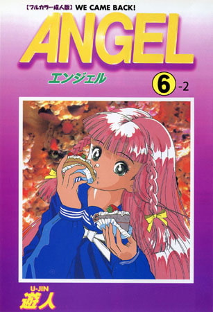 Dlsite[フルカラー成人版ANGEL]総評