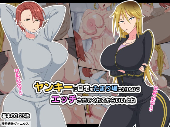 ヤンキーに自宅をたまり場にされたけどエッチさせてくれるからいいよねのレビュー