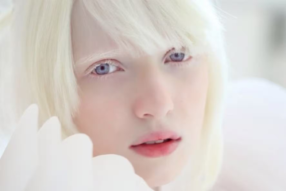 出典:lh3.googleusercontent.com
