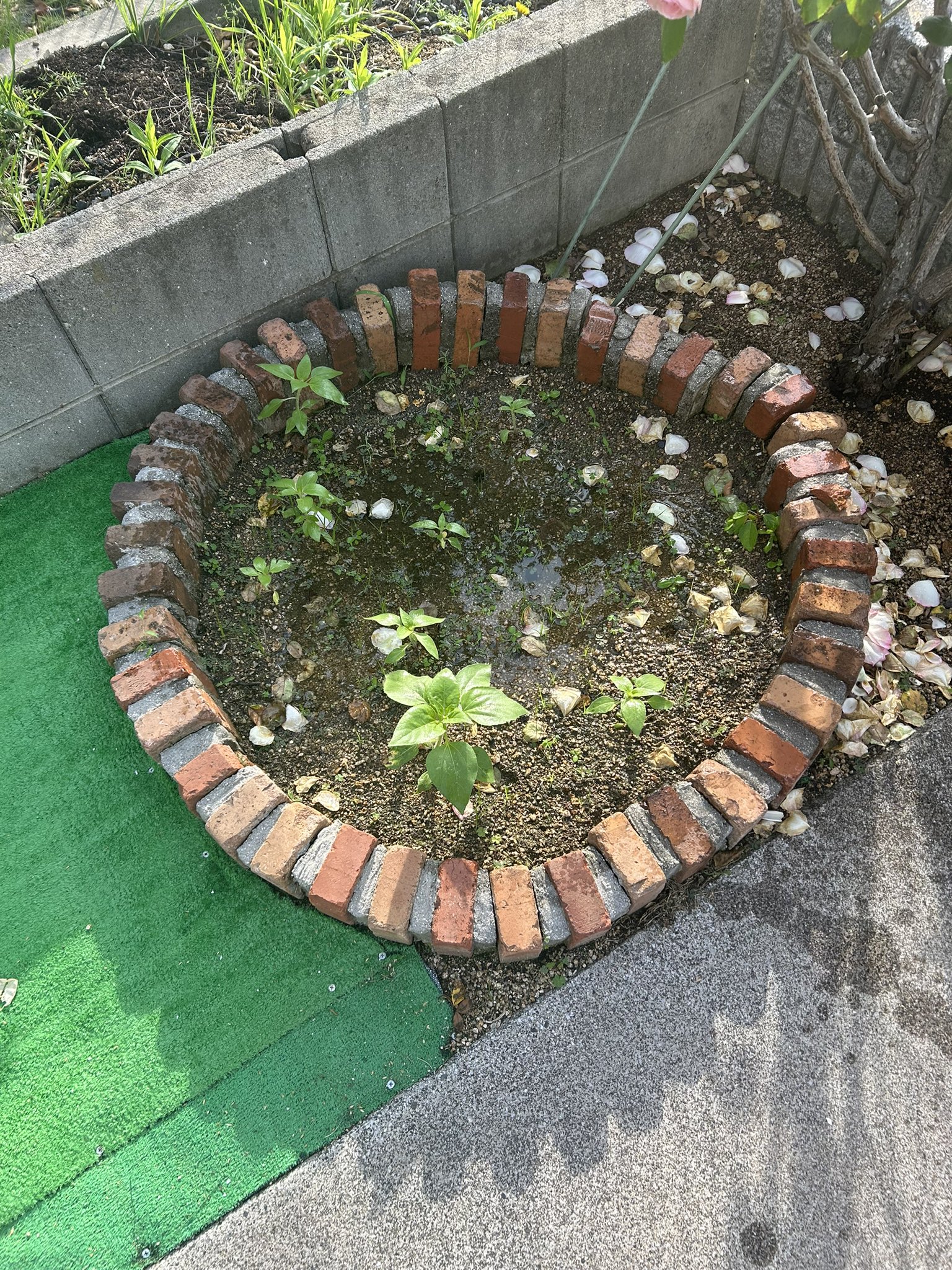 出典:pbs.twimg.com