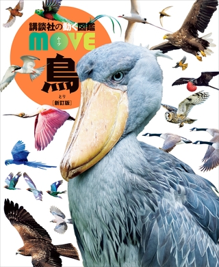出典:img.dlsite.jp
