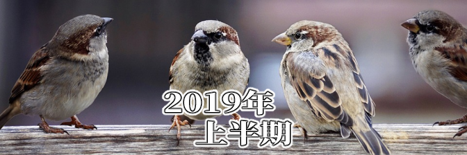 2019年上半期のエロ同人誌10選