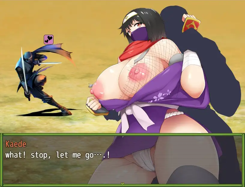 Kunoichi Eroge Summary　(English)