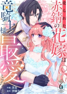 売られた赤錆の花嫁は竜騎士様の最愛となる６