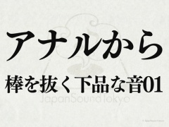 【効果音】アナルから棒抜く下品な音01