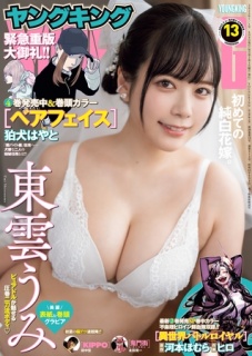 ヤングキング 2025年13号