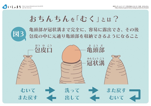 性教育 おちんちんについて学ぶ機会の無い私達 包茎 男性器 ペニス Dlチャンネル みんなで作る二次元情報サイト