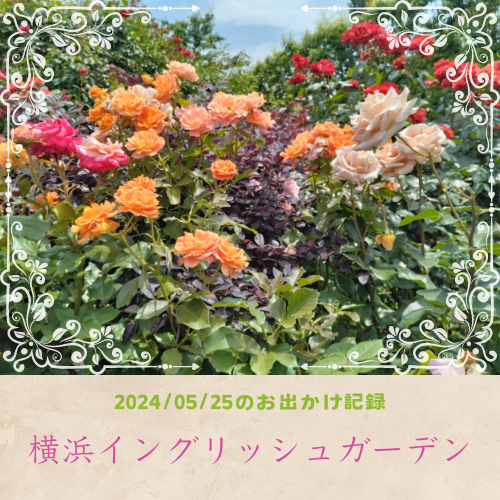 【2024年】横浜イングリッシュガーデンでバラを愛でる【5月】