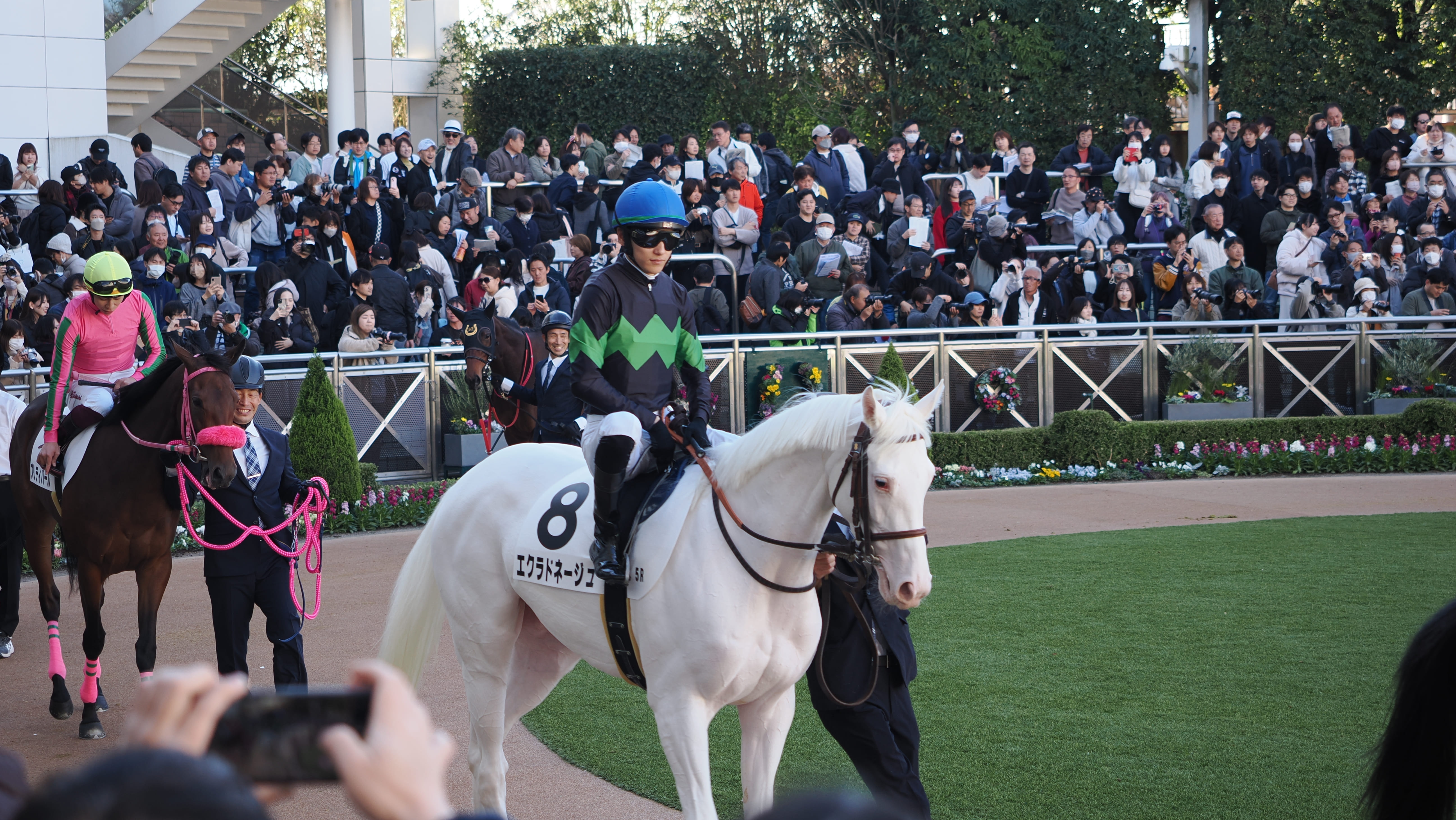 【エクラドネージュ：デビュー戦】「俺の愛馬が！」3年目！？白馬のお姫様と王子様が挑む初戦【一口馬主】