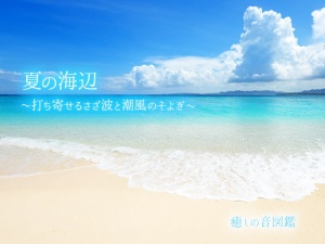 【ASMR環境音】夏の海辺 〜打ち寄せるさざ波と潮風のそよぎ〜