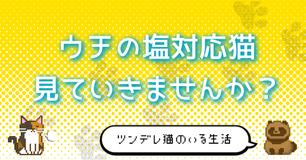 ウチの塩対応猫見ていきませんか？