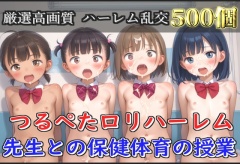 【豪華特典あり】つるぺたロリハーレム学園  先生との保険体育の授業【高画質500枚】