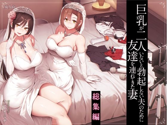 ヤソン社員オススメ、サークル『しまぱん』様のハーレム作品まとめ