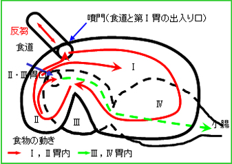 出典:www.bing.com