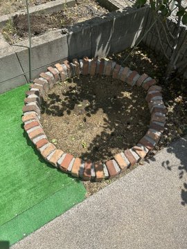 ひまわり日誌　27日目