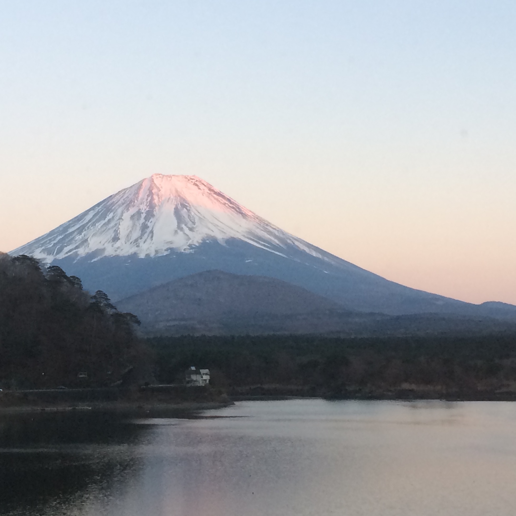 指示待ちドラゴン