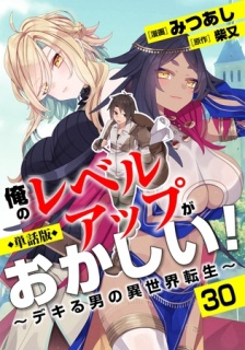 【単話版】俺のレベルアップがおかしい！ 〜デキる男の異世界転生〜（フルカラー） 30