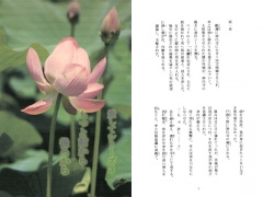 愛してもっと後ろから前から/織末彬義