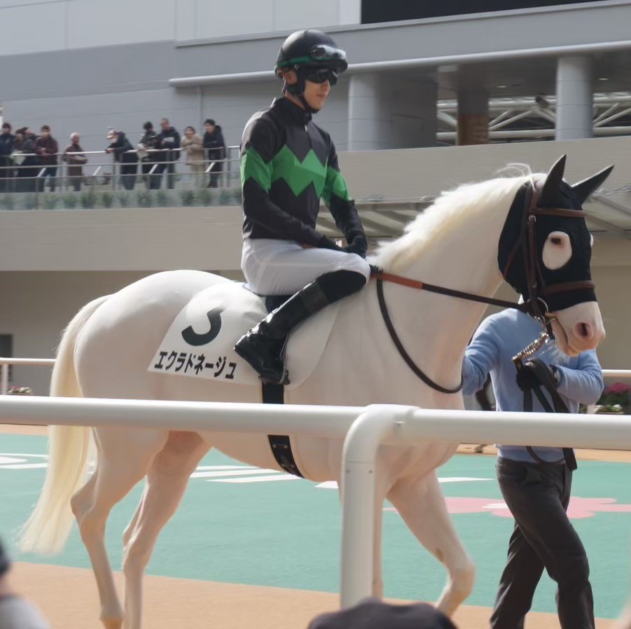【エクラドネージュ：第2戦】「俺の愛馬が！」3年目！？白馬のお姫様と王子様が地元で挑む【一口馬主】