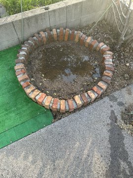 ひまわり日誌　7日目
