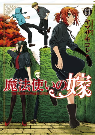 『感想』魔法使いの嫁 １１巻