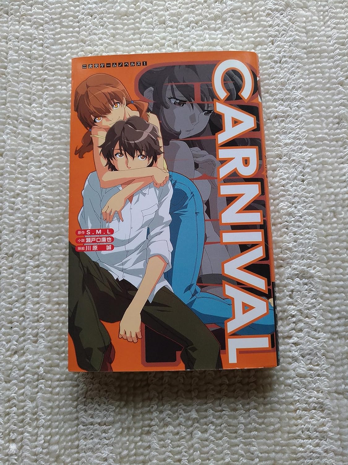 【再販希望】プレミア価格40000円以上！「CARNIVAL小説版」のあらすじ