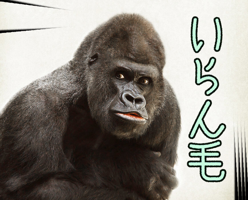 いらん毛