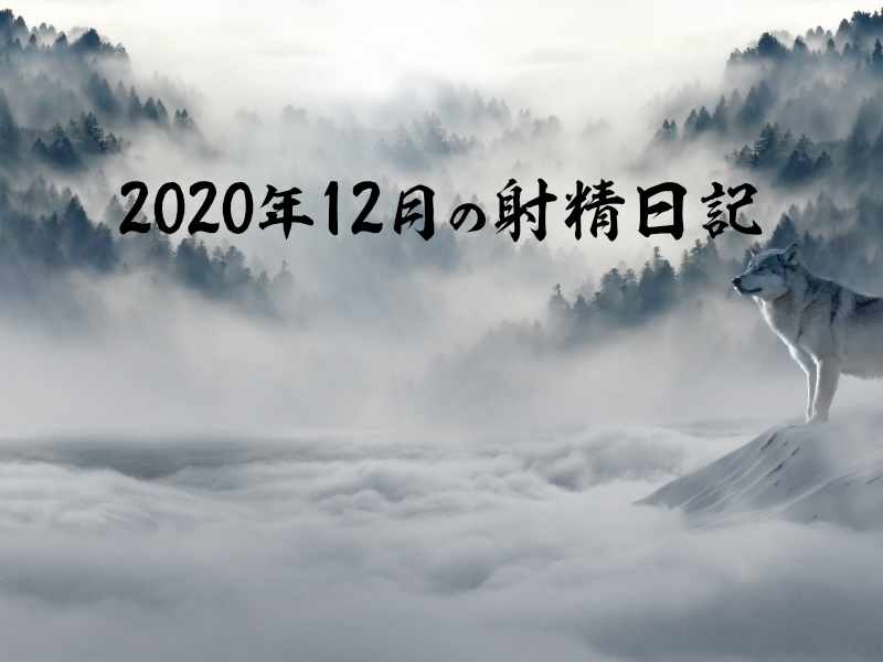 2020年12月の射精日記