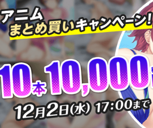 【対象作まとめ】アニム半額＋10本まとめ買いで1万