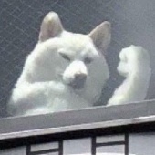 まだ名前がありません