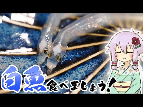 出典:img.youtube.com